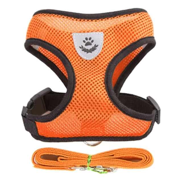 Dog Harness with Leash