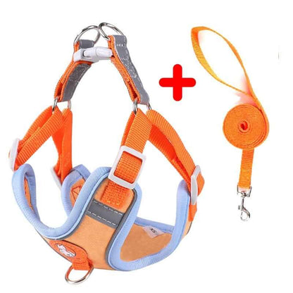 Dog Harness and Leash