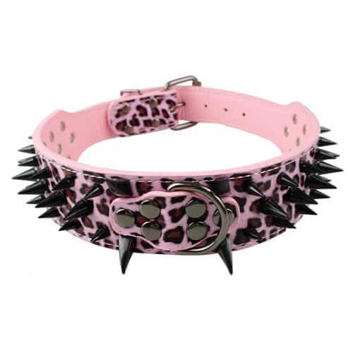 Spiked Leather Dog Collar