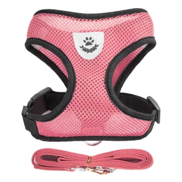Dog Harness with Leash