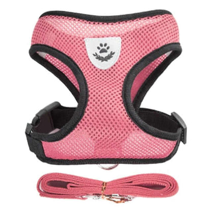 Dog Harness with Leash