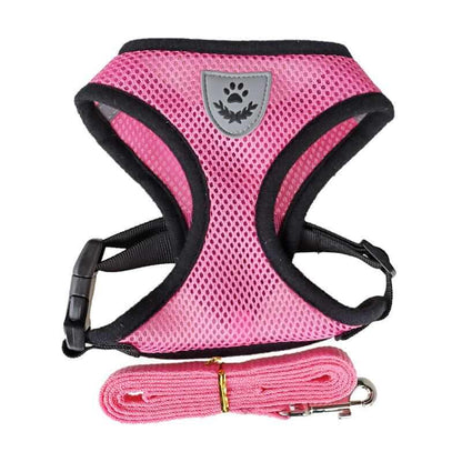 Nylon Mesh Dog Harness And Leash