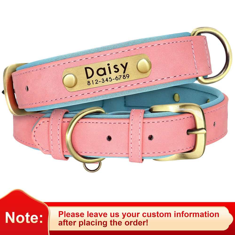 Leather ID Dog Collar