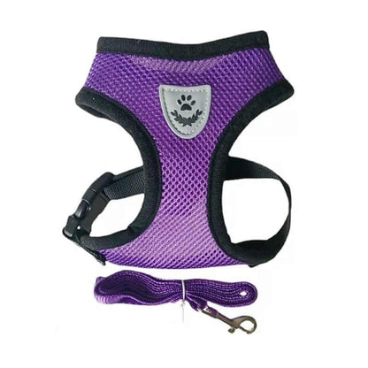 Nylon Mesh Dog Harness And Leash