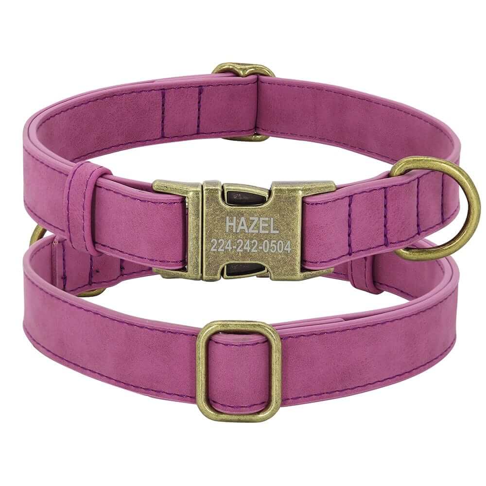 Leader Dog ID Collar