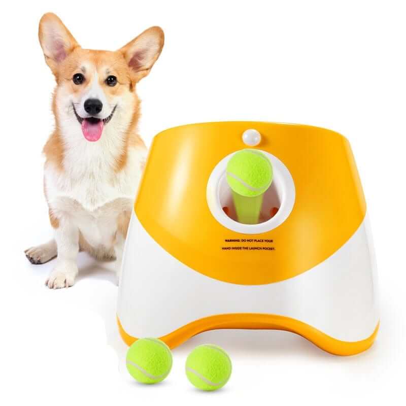 Automatic Tennis Launcher for Dogs
