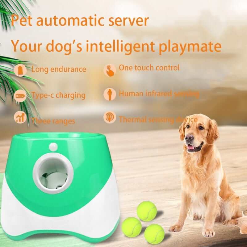 Automatic Tennis Launcher for Dogs