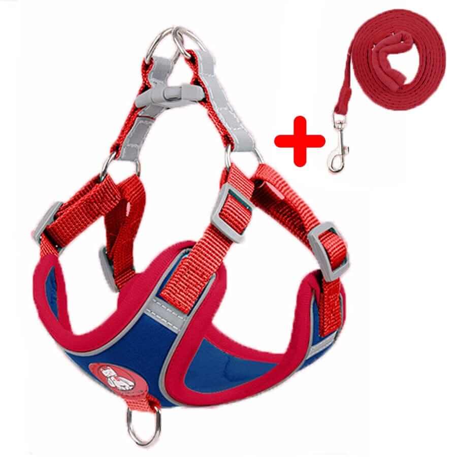 Dog Harness and Leash
