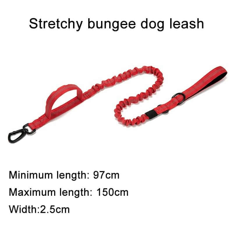 Tactical Dog Collar & Leash