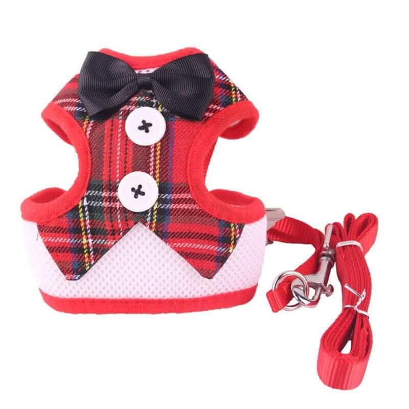 Elegant Dog Harness