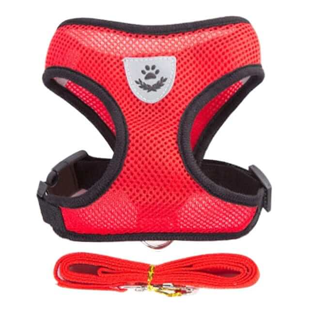 Dog Harness with Leash