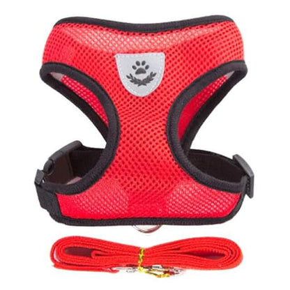 Dog Harness with Leash
