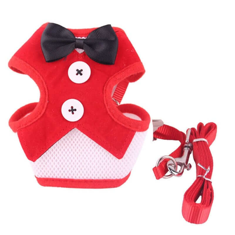 Elegant Dog Harness