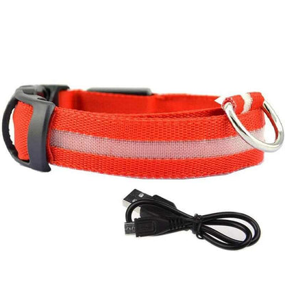 LED Glowing Dog Collars