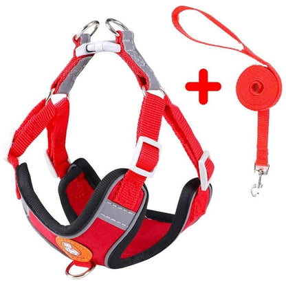 Dog Harness and Leash