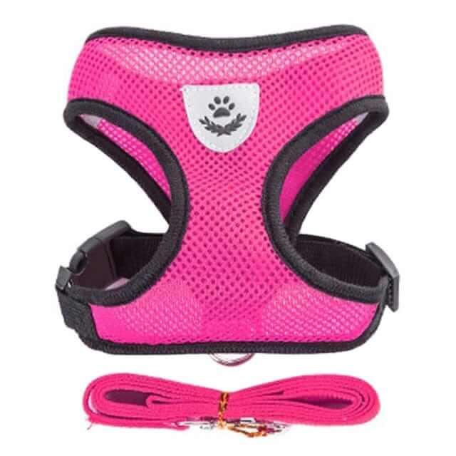 Dog Harness with Leash