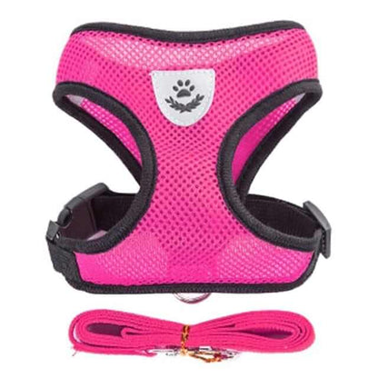Dog Harness with Leash