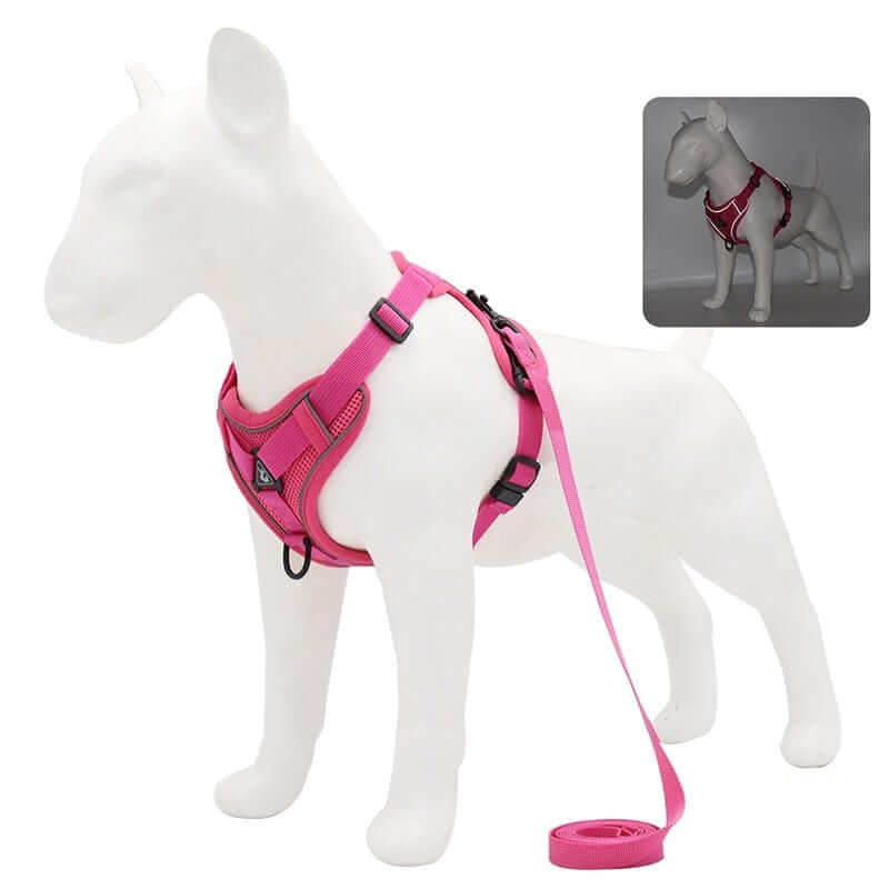 Best Adjustable Dog Harness and Leash