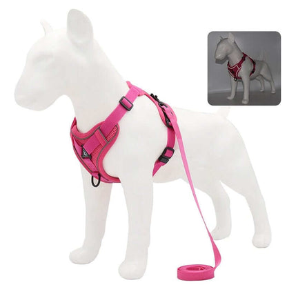 Best Adjustable Dog Harness and Leash