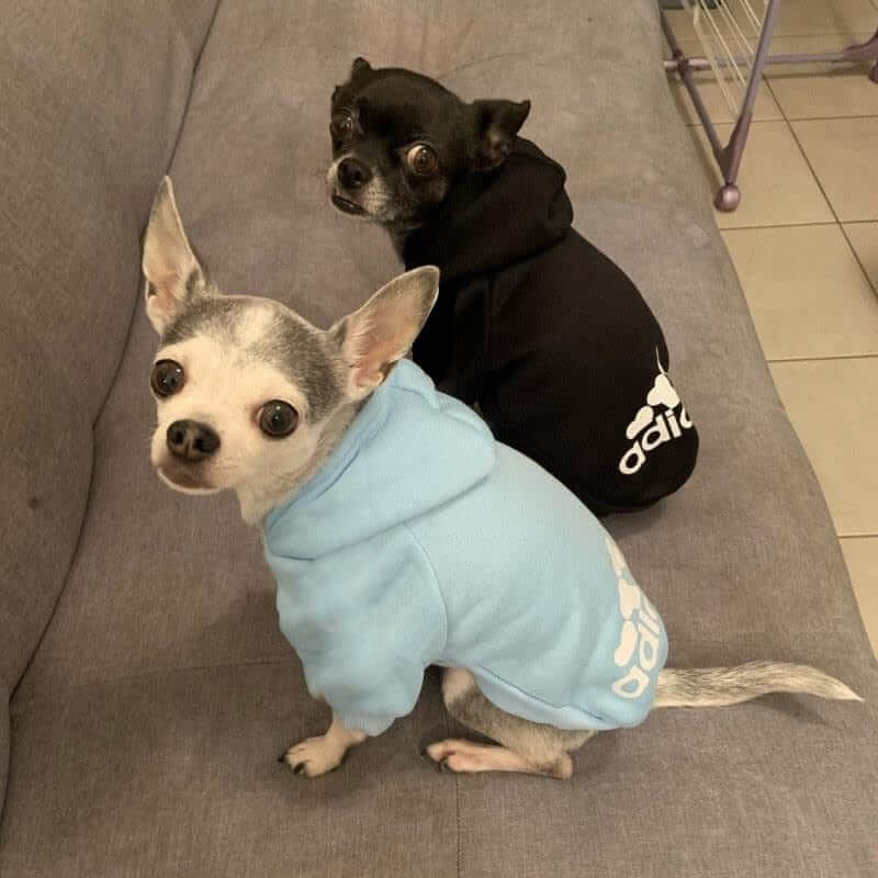 Soft Fleece Hoodie