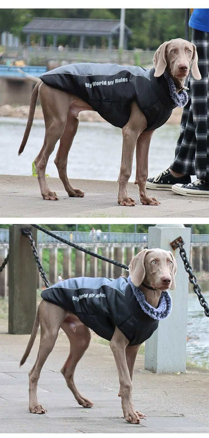 Waterproof Jacket for Dogs