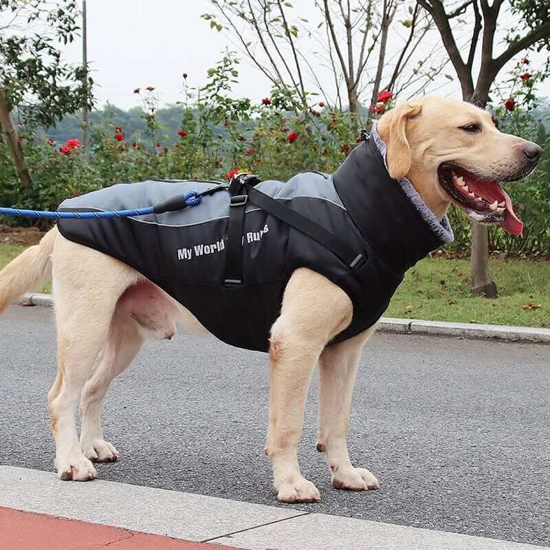 Waterproof Jacket for Dogs