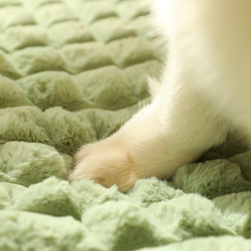 Winter Dog Mat