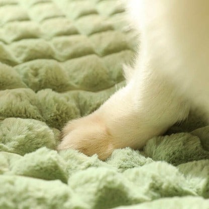 Winter Dog Mat