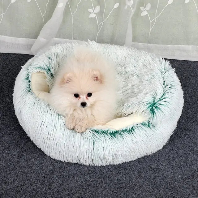 2-In-1 Burrowing Pet Bed