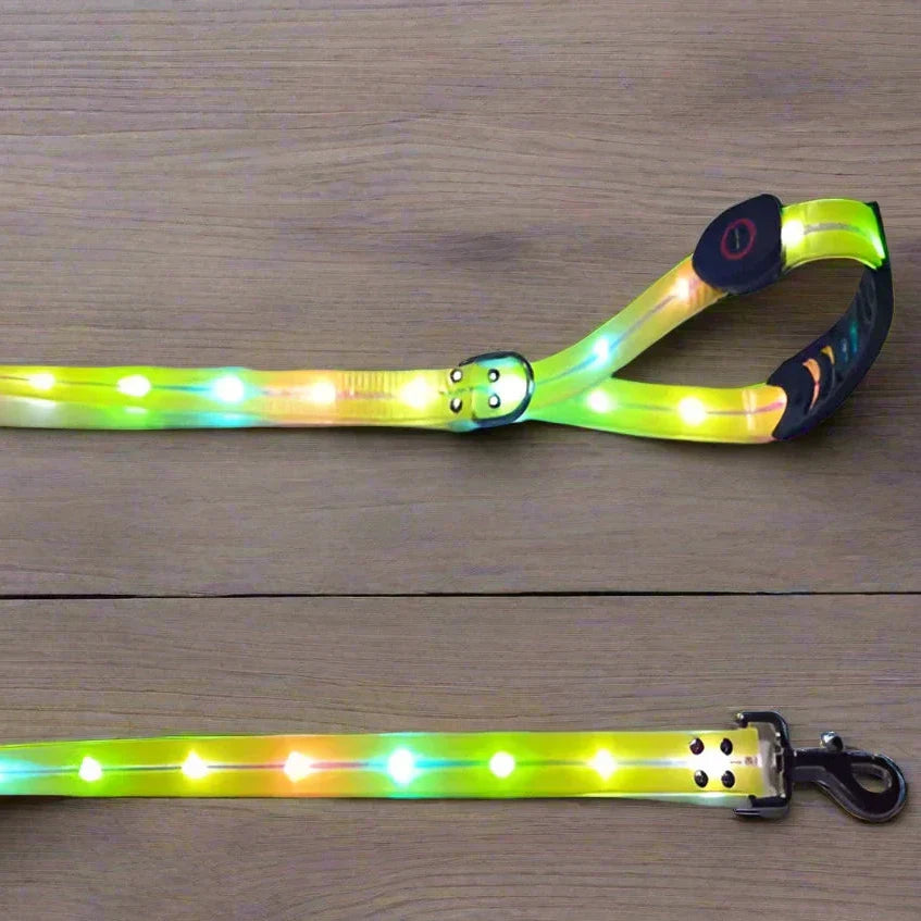 Led Glowing Dog Leash