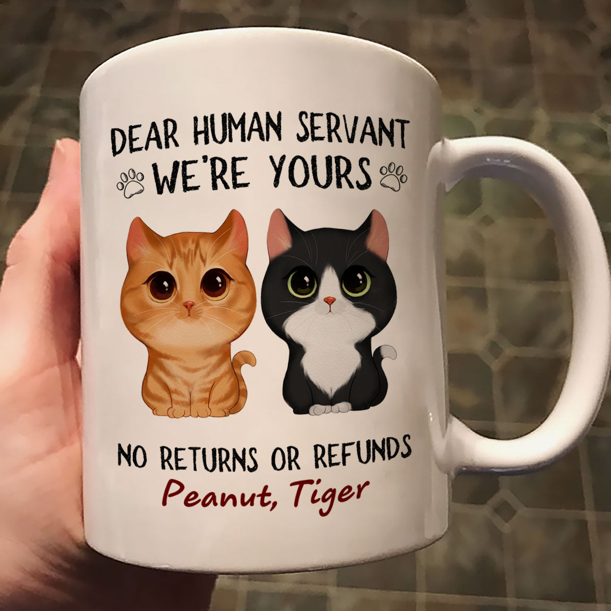 Dear Human Servant We're Yours Watercolor Cute Cat Personalized Mug