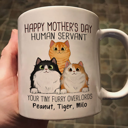 Happy Mother's Day Cat Human Servant Peeking Fluffy Cats Personalized Mug
