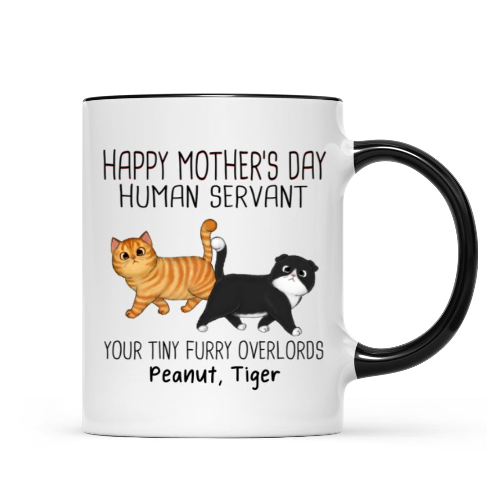 Walking Fluffy Cats Happy Mother's Day Cat Human Servant Personalized Mug