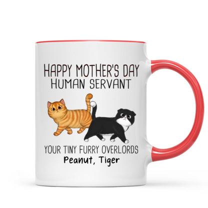 Walking Fluffy Cats Happy Mother's Day Cat Human Servant Personalized Mug