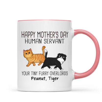Walking Fluffy Cats Happy Mother's Day Cat Human Servant Personalized Mug