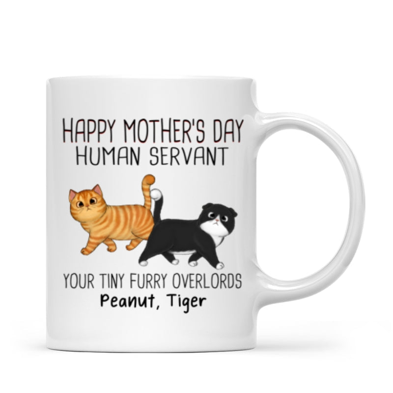 Walking Fluffy Cats Happy Mother's Day Cat Human Servant Personalized Mug