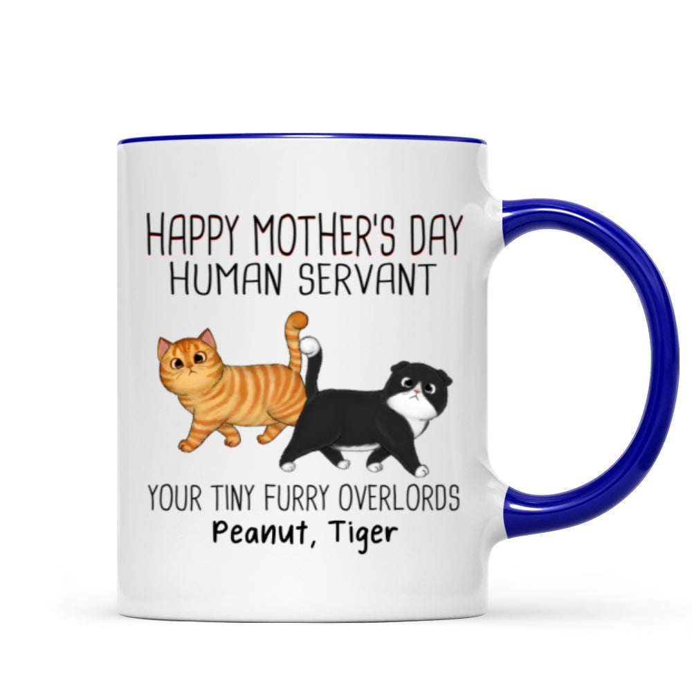 Walking Fluffy Cats Happy Mother's Day Cat Human Servant Personalized Mug