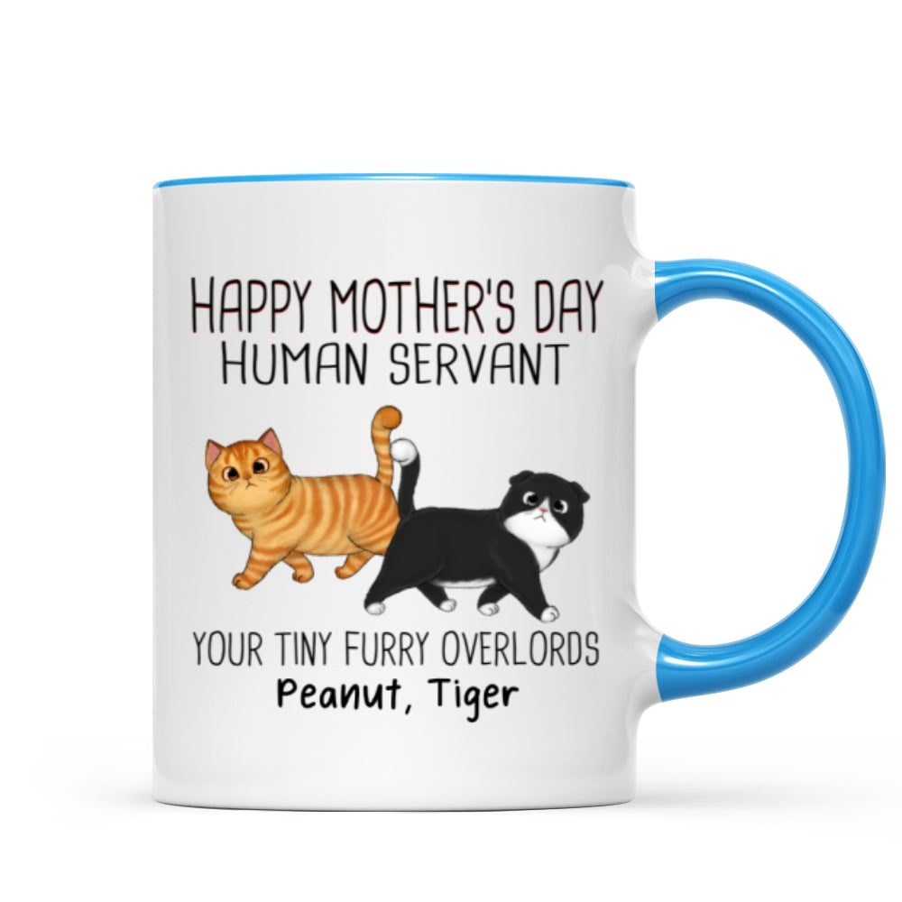Walking Fluffy Cats Happy Mother's Day Cat Human Servant Personalized Mug