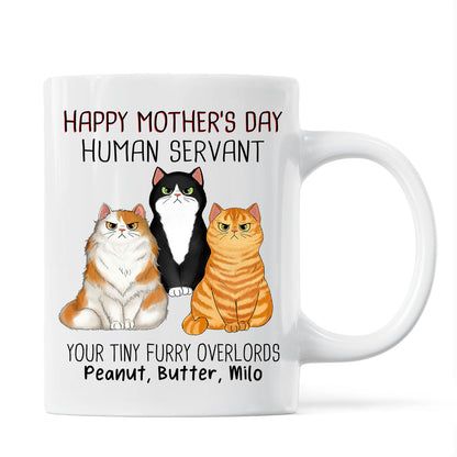 Angry Cats Happy Mother's Day Cat Human Servant Personalized Mug