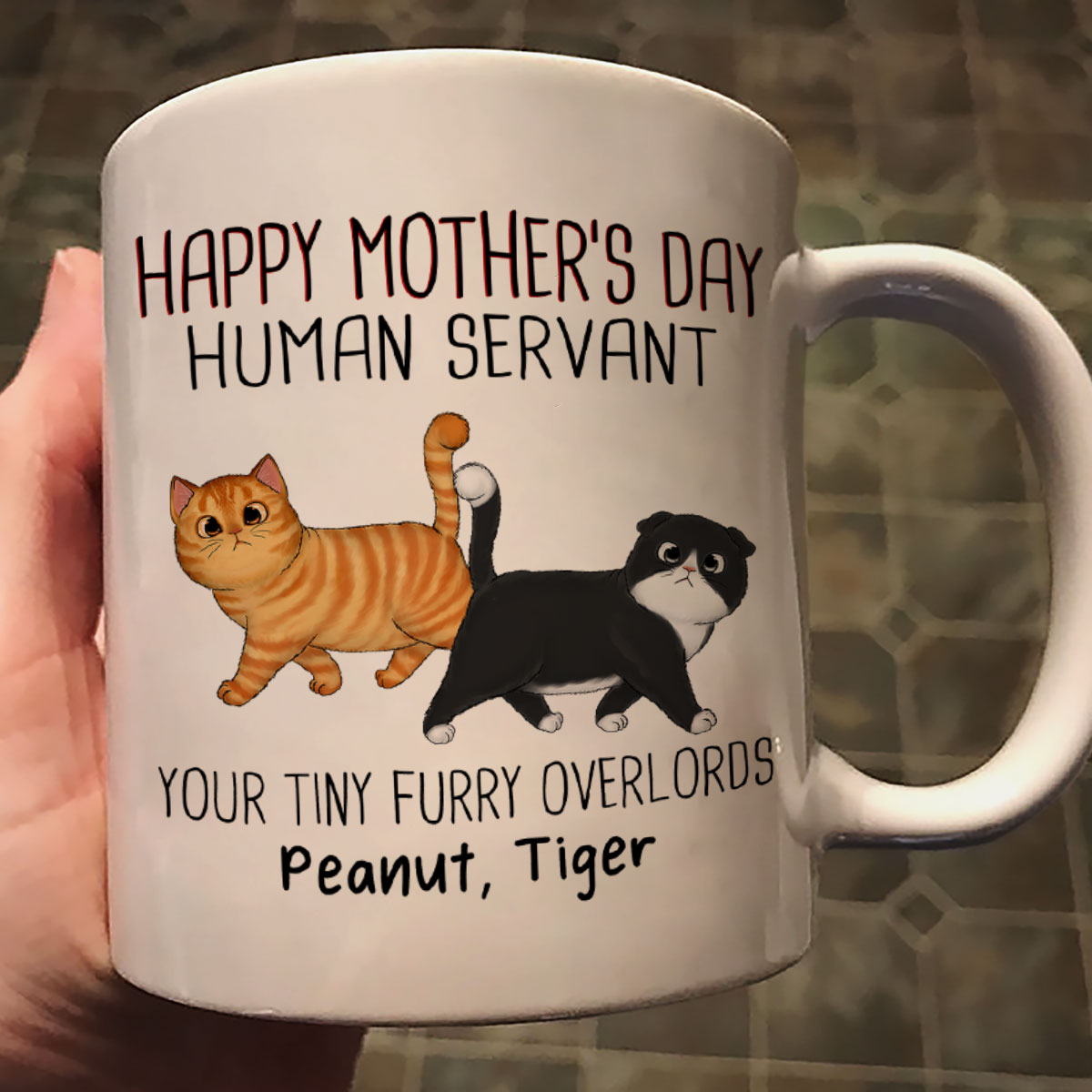 Walking Fluffy Cats Happy Mother's Day Cat Human Servant Personalized Mug