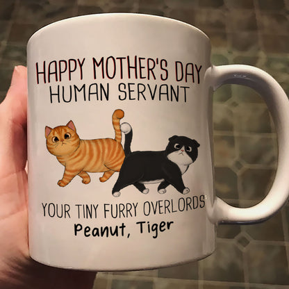 Walking Fluffy Cats Happy Mother's Day Cat Human Servant Personalized Mug