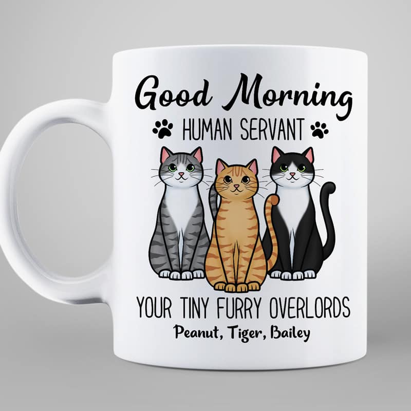 Cute Sitting Cats Good Morning Human Personalized Mug