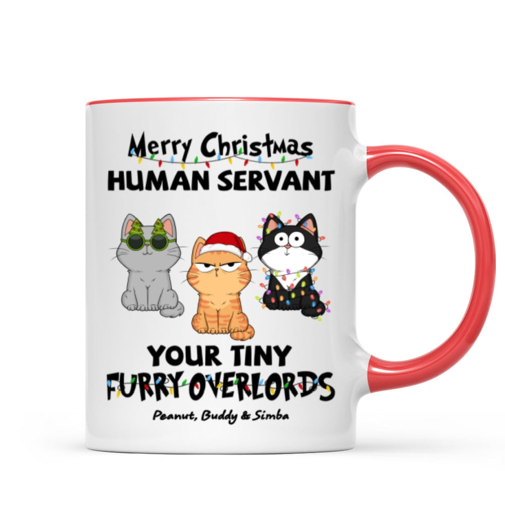 Christmas Fluffy Funny Cats Expressions Merry Christmas Human Servant Personalized Mug