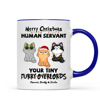 Christmas Fluffy Funny Cats Expressions Merry Christmas Human Servant Personalized Mug