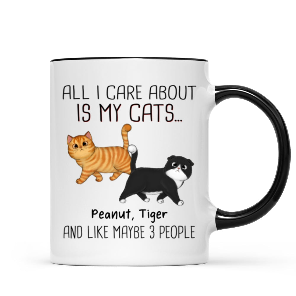 Walking Fluffy Cats Gift For Cat Lovers Personalized Mug