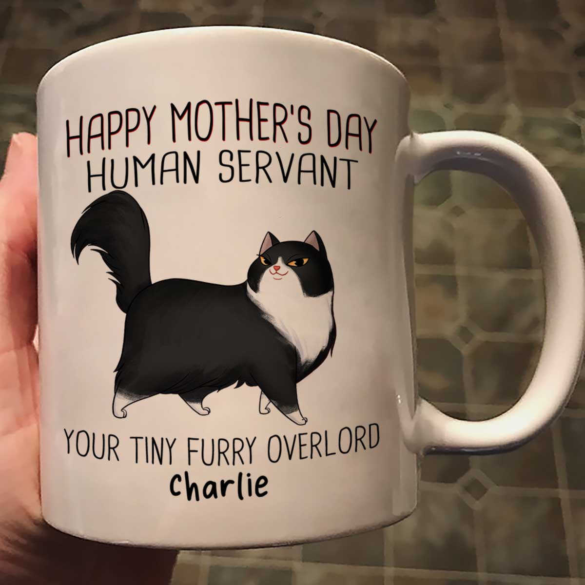 Happy Mother's Day Human Servant Cartoon Walking Cat Personalized Mug