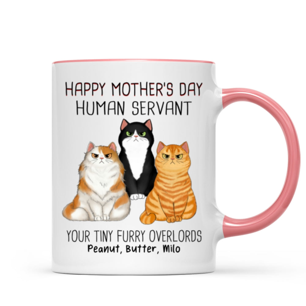 Angry Cats Happy Mother's Day Cat Human Servant Personalized Mug